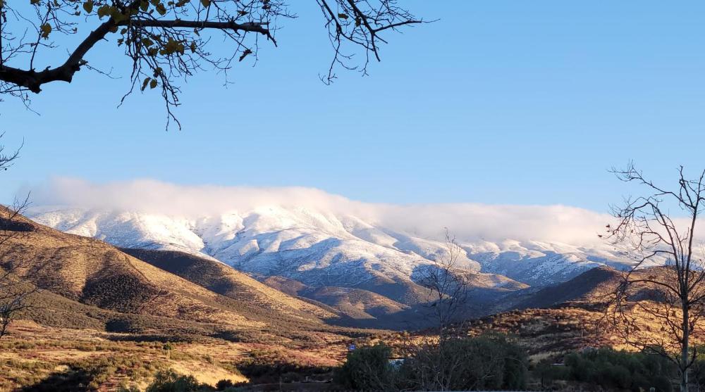 Alpaca Rustic Ranch-peaceful & breathtaking views